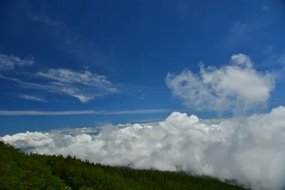 DSC_3620 (Large).JPG